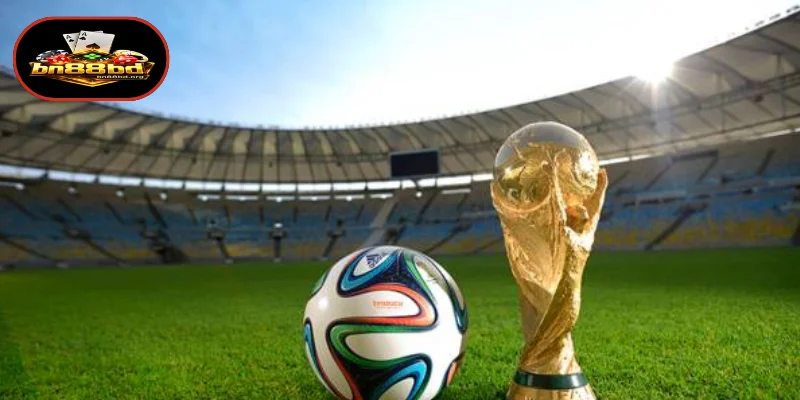 Poly Sports প্ল্যাটফর্মের জনপ্রিয় ক্রীড়া বিভাগসমূহ