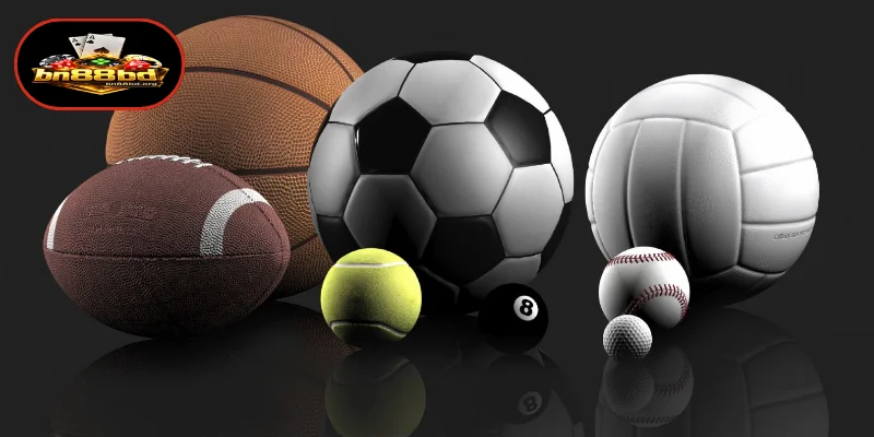 Poly Sports প্ল্যাটফর্মের সংক্ষেপিত রূপরেখা