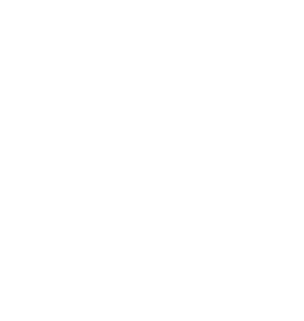 safe-payment bn88
